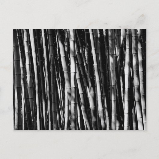 Carte Postale Bambou (Devant)