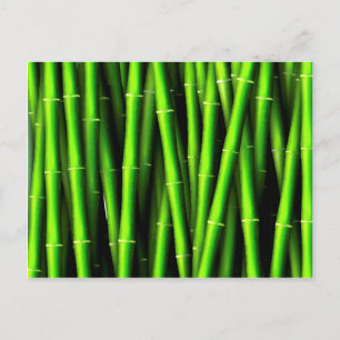 Carte Postale Bambou arbre naturel motif hipster fun tendance ch