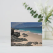 Carte Postale Bambou d'anse ; Fregate Island ; Seychelles (Debout devant)