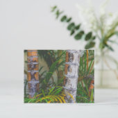 Carte Postale Bambou orange (Debout devant)