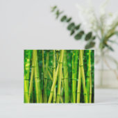 Carte Postale Bambou vert (Debout devant)