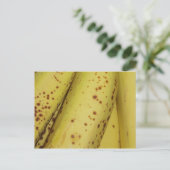 Carte postale Banana (Debout devant)