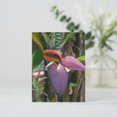 Carte postale Banana Blossom (Debout devant)