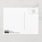 Carte Postale Banana River Dock (Dos)