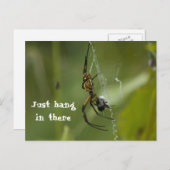 Carte Postale Banana Spider Web Juste accrochez-vous là (Devant / Derrière)