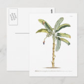 Carte Postale Banane (Devant / Derrière)
