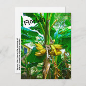 Carte Postale Banane tropicale Palm Tree St Augustine Floride (Devant / Derrière)