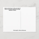 Carte Postale Banane tropicale Palm Tree St Augustine Floride (Dos)