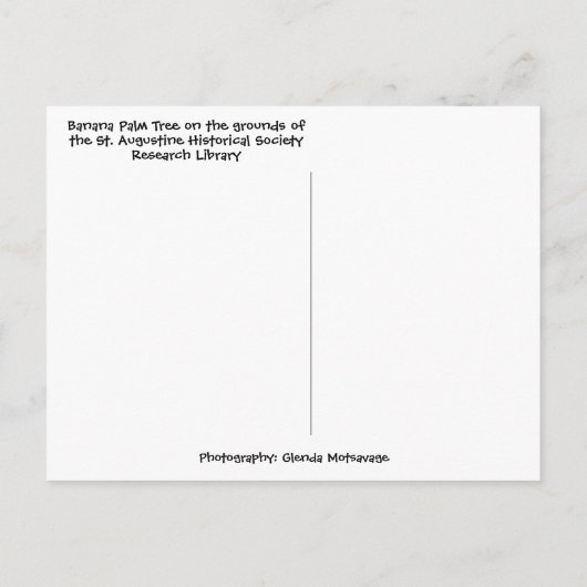 Carte Postale Banane tropicale Palm Tree St Augustine Floride (Dos)
