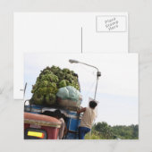 Carte Postale Bananes (Devant / Derrière)