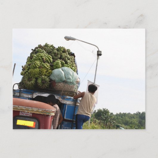 Carte Postale Bananes (Devant)