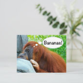 Carte Postale Bananes ! (Debout devant)