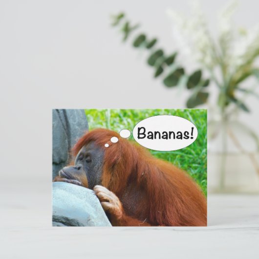 Carte Postale Bananes ! (Debout devant)