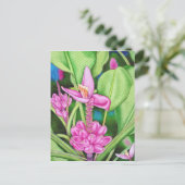 Carte Postale Bananes roses (Debout devant)
