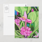 Carte Postale Bananes roses (Devant / Derrière)