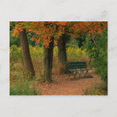 Carte Postale banc (Devant)