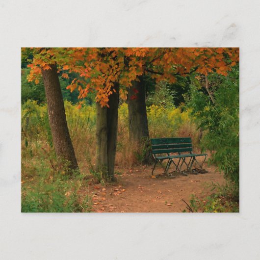 Carte Postale banc (Devant)
