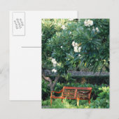 Carte Postale Banc (Devant / Derrière)