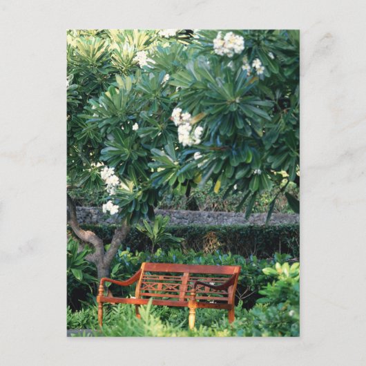 Carte Postale Banc (Devant)