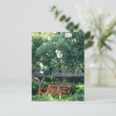 Carte Postale Banc (Debout devant)
