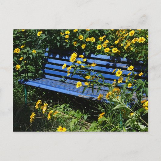 Carte Postale banc bleu surélevé (Devant)