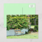 Carte postale Banc Bougainvillea Floride (Devant / Derrière)