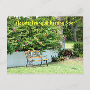 Carte postale Banc Bougainvillea Floride