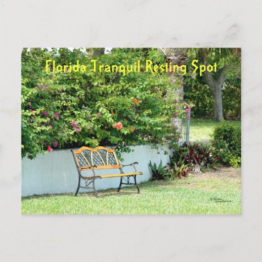 Carte postale Banc Bougainvillea Floride (Devant)