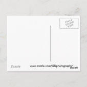 Carte Postale banc chorale (Dos)