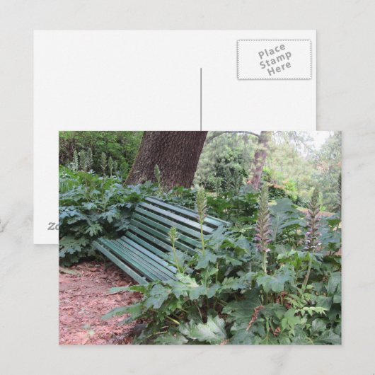 Carte Postale Banc dans le parc (Devant / Derrière)