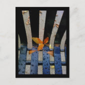 Carte Postale banc d'automne (Devant)