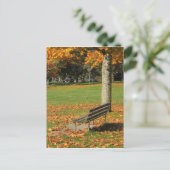 Carte postale Banc d'automne Park (Debout devant)