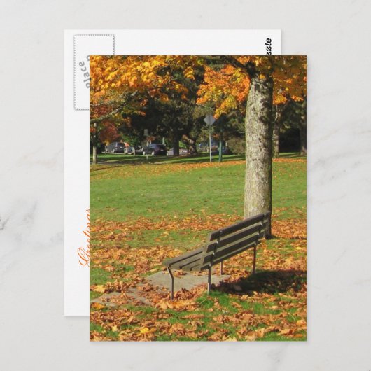 Carte postale Banc d'automne Park (Devant / Derrière)