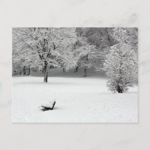 Carte Postale Banc de neige et arbres