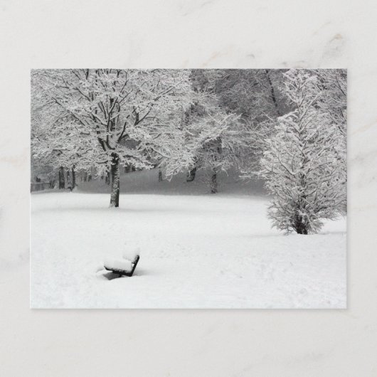 Carte Postale Banc de neige et arbres (Devant)