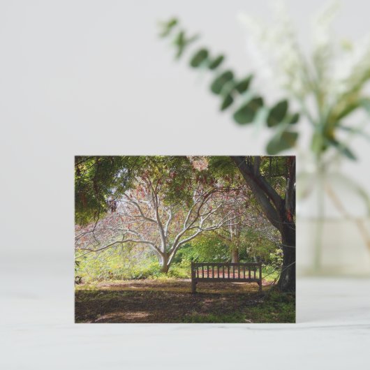 Carte Postale Banc de parc (Debout devant)