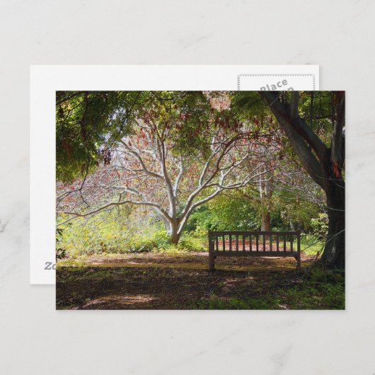 Carte Postale Banc de parc (Devant / Derrière)