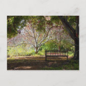 Carte Postale Banc de parc (Devant)