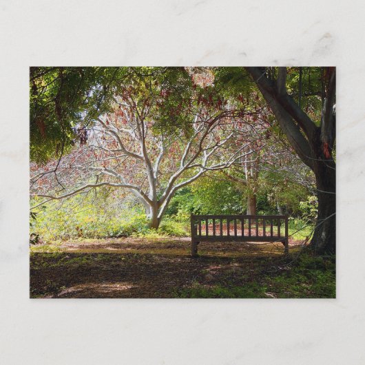 Carte Postale Banc de parc (Devant)