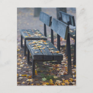 Carte Postale Banc de parc du matin Foggy, Allemagne