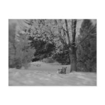 Banc de parc en hiver