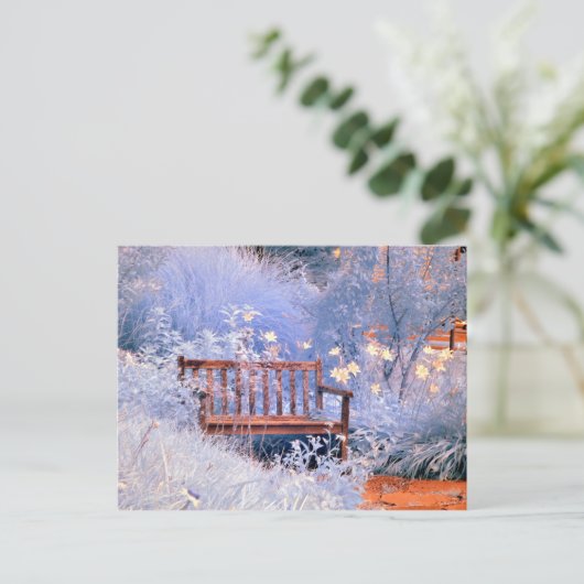 Carte Postale Banc de parc infrarouge (Debout devant)