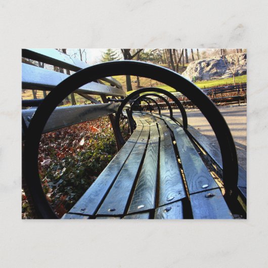 Carte Postale Banc de parc unique à Central Park, New York (Devant)