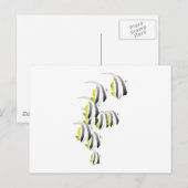 Carte Postale Banc de poissons tropicaux (Devant / Derrière)