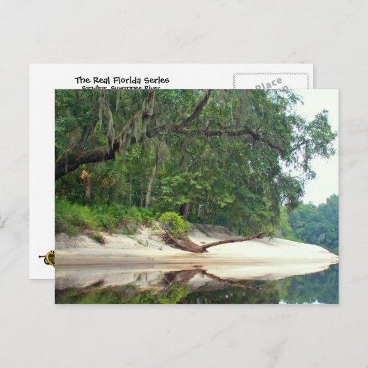 Carte Postale Banc de sable de Suwannee (Devant / Derrière)