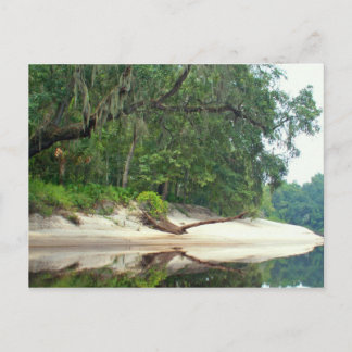 Carte Postale Banc de sable de Suwannee