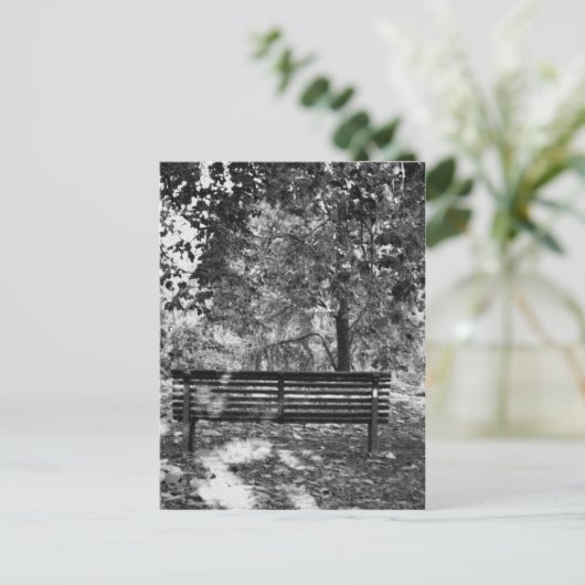 Carte Postale Banc du parc (Debout devant)