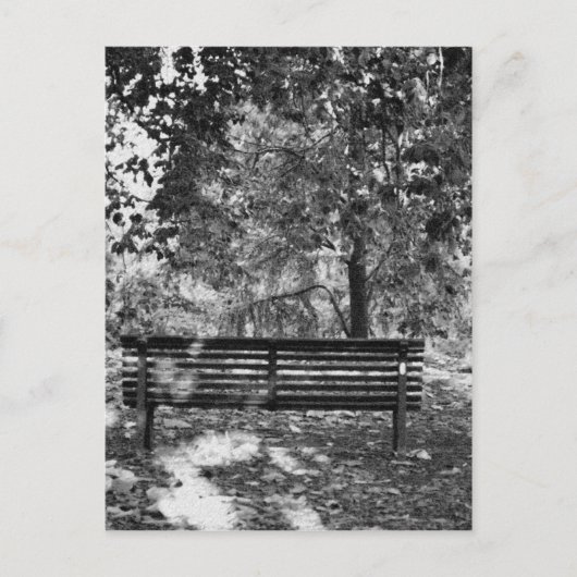 Carte Postale Banc du parc (Devant)