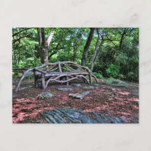 Carte Postale Banc en bois à Central Park, New York