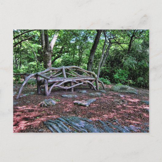 Carte Postale Banc en bois à Central Park, New York (Devant)